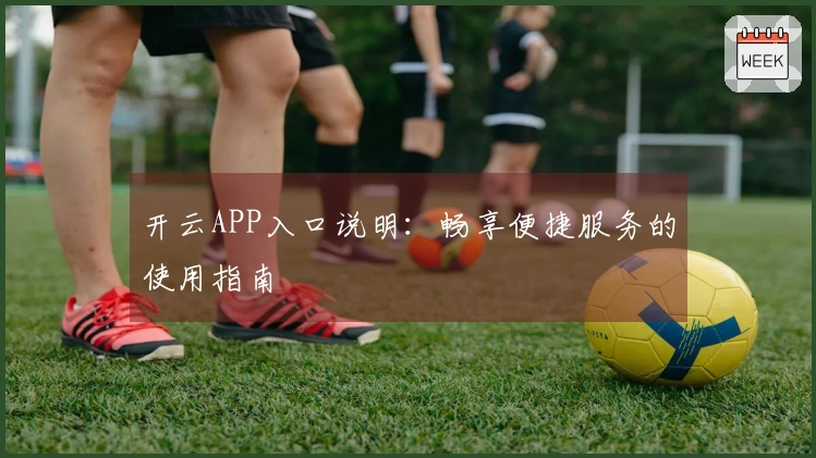 开云APP入口说明：畅享便捷服务的使用指南