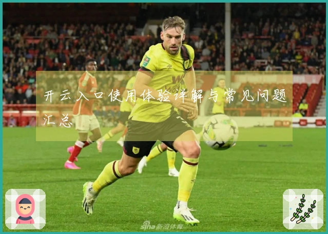 开云入口使用体验详解与常见问题汇总