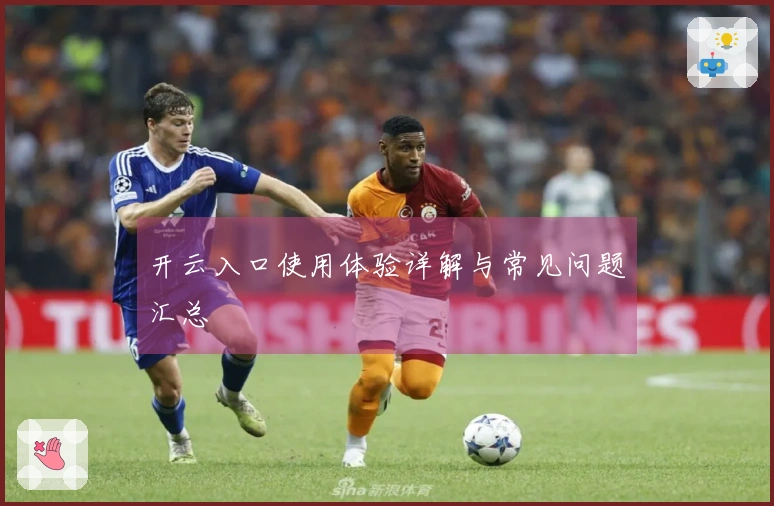 开云入口使用体验详解与常见问题汇总